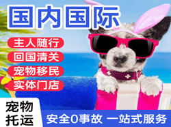 长沙黄花航空运输国际宠物托运 【国